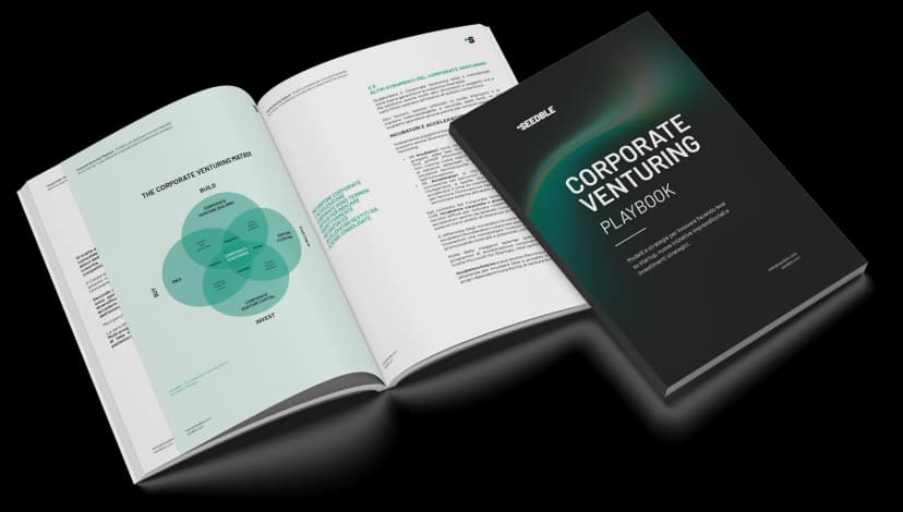 Corporate Venturing Playbook
